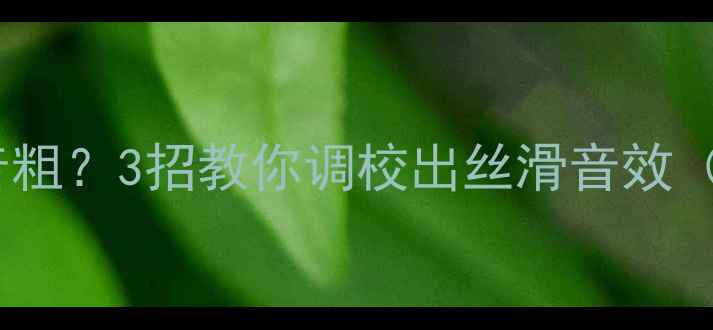 图片 史泰格功放声音粗？3招教你调校出丝滑音效（附实测对比）1