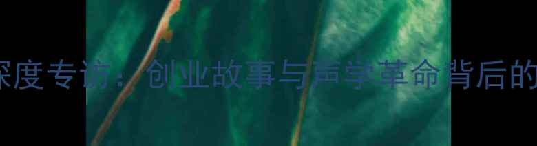 图片 号角音箱创始人深度专访：创业故事与声学革命背后的高保真技术之路2
