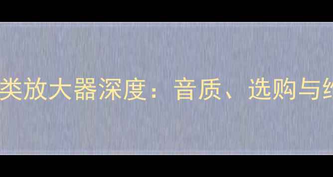 图片 吉他音箱A类放大器深度：音质、选购与维护全指南