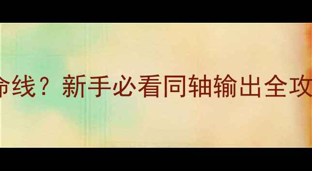 图片 同轴接口是音箱的生命线？新手必看同轴输出全攻略（附正确连接图）2