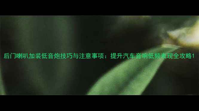 图片 后门喇叭加装低音炮技巧与注意事项：提升汽车音响低频表现全攻略1