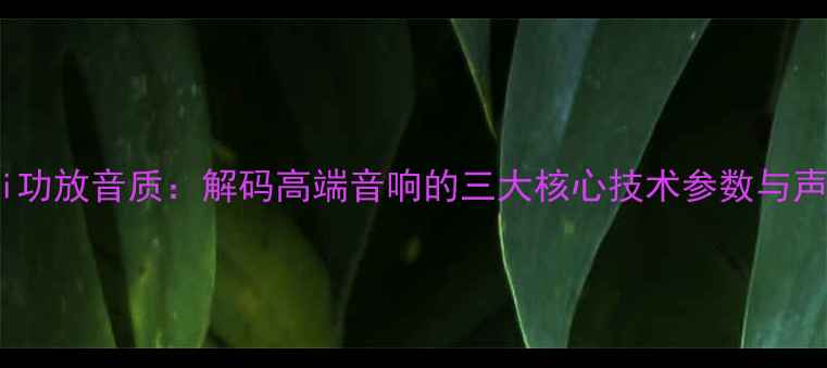 图片 君子功放HiFi功放音质：解码高端音响的三大核心技术参数与声音表现特征2