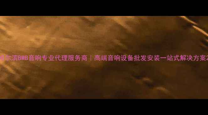 图片 哈尔滨BMB音响专业代理服务商｜高端音响设备批发安装一站式解决方案2