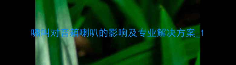 图片 啸叫对音箱喇叭的影响及专业解决方案_1