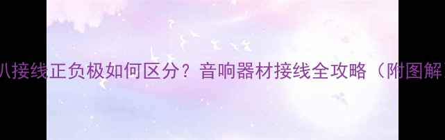 图片 喇叭接线正负极如何区分？音响器材接线全攻略（附图解）1