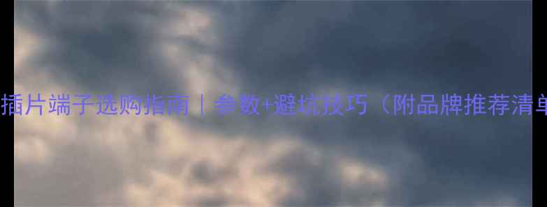 图片 喇叭插片端子选购指南｜参数+避坑技巧（附品牌推荐清单）2