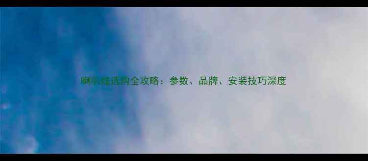 图片 喇叭线选购全攻略：参数、品牌、安装技巧深度