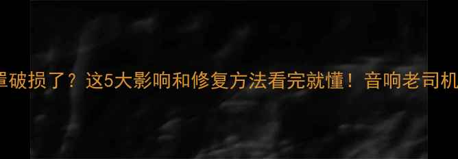 图片 喇叭防尘罩破损了？这5大影响和修复方法看完就懂！音响老司机都收藏了2