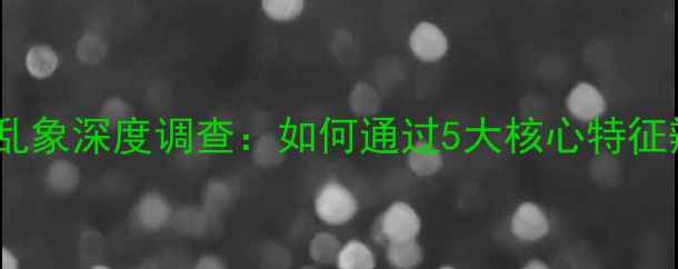 图片 喜力士喇叭市场乱象深度调查：如何通过5大核心特征辨别真假型号？1