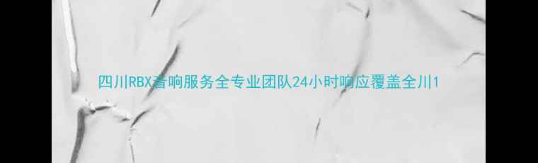 图片 四川RBX音响服务全专业团队24小时响应覆盖全川1