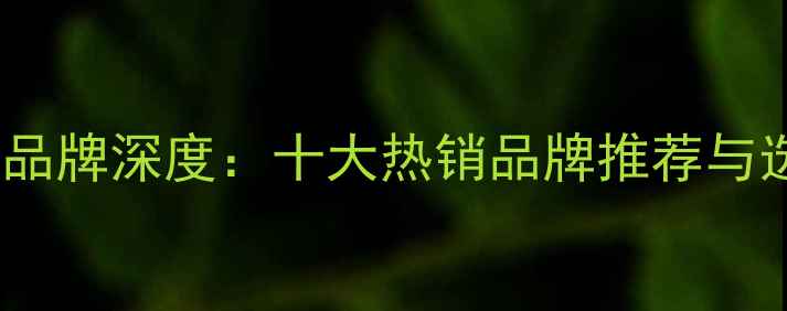 图片 国产功放品牌深度：十大热销品牌推荐与选购指南1