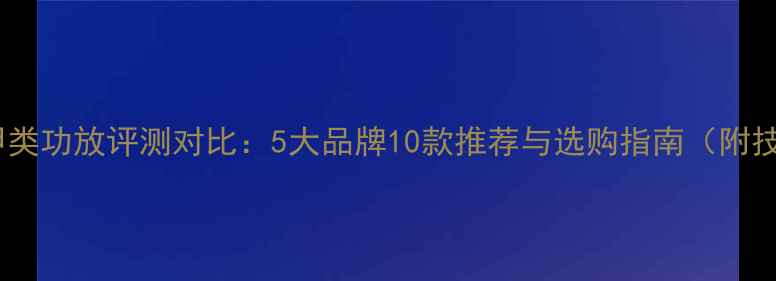 图片 国产甲类功放评测对比：5大品牌10款推荐与选购指南（附技术）2