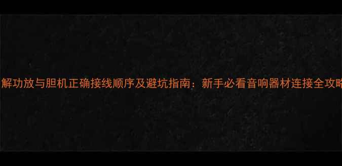 图片 图解功放与胆机正确接线顺序及避坑指南：新手必看音响器材连接全攻略1