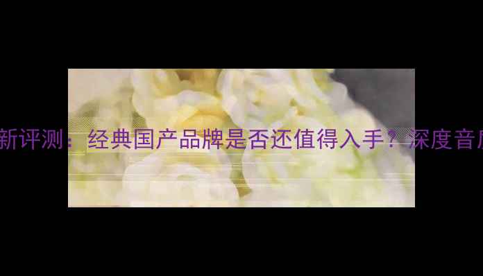 图片 城堡音箱最新评测：经典国产品牌是否还值得入手？深度音质与性价比1