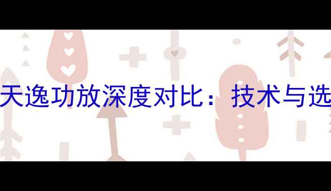 图片 声雅VS天逸功放深度对比：技术与选购指南