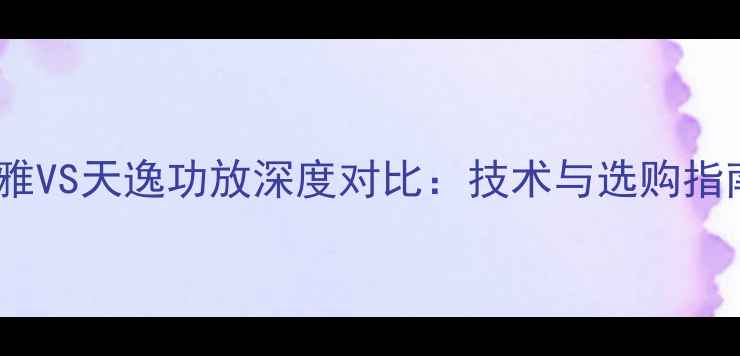 图片 声雅VS天逸功放深度对比：技术与选购指南1