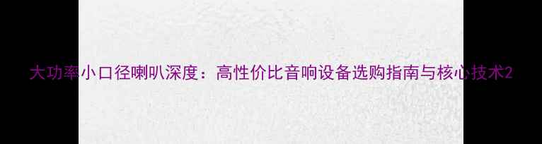 图片 大功率小口径喇叭深度：高性价比音响设备选购指南与核心技术2