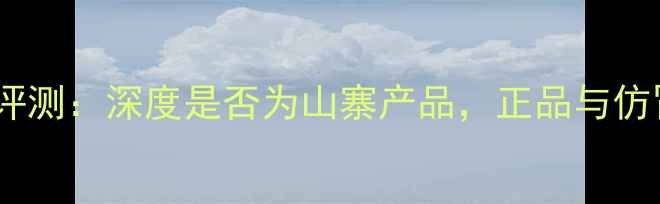 图片 天弦音箱评测：深度是否为山寨产品，正品与仿冒的区别1