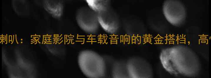 图片 天朗T10S十寸同轴喇叭：家庭影院与车载音响的黄金搭档，高性价比解决方案全2