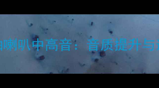 图片 天朗同轴喇叭中高音：音质提升与选购指南