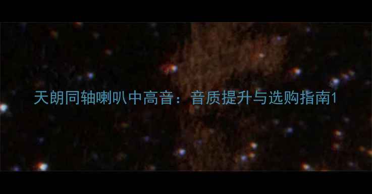 图片 天朗同轴喇叭中高音：音质提升与选购指南1