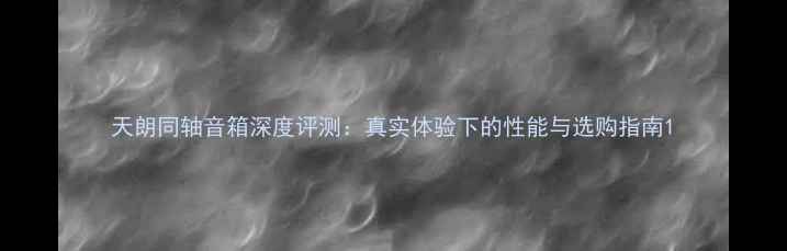 图片 天朗同轴音箱深度评测：真实体验下的性能与选购指南1