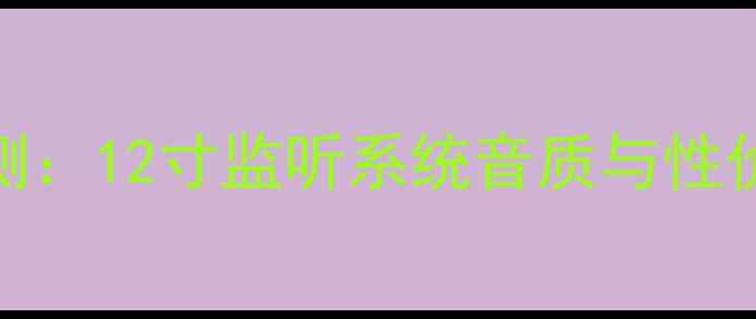 图片 天朗监听音箱12专业评测：12寸监听系统音质与性价比分析（附选购指南）