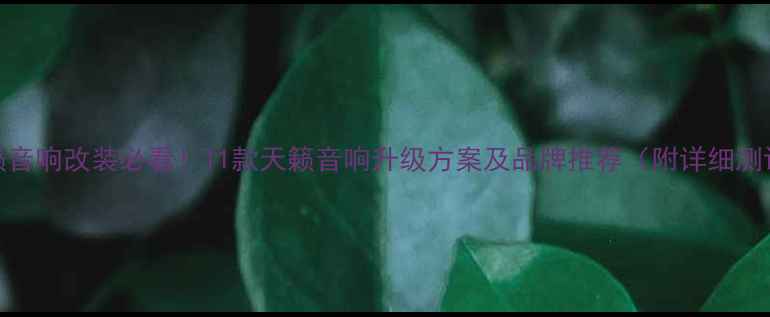 图片 天籁音响改装必看！11款天籁音响升级方案及品牌推荐（附详细测评）