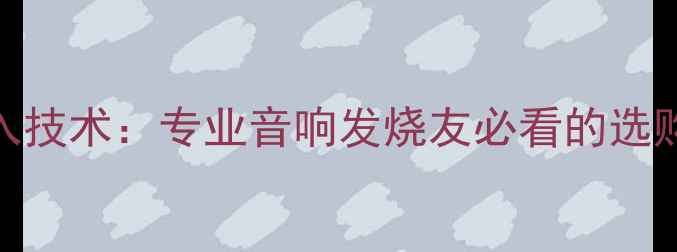 图片 天逸功放平衡输入技术：专业音响发烧友必看的选购指南与使用技巧