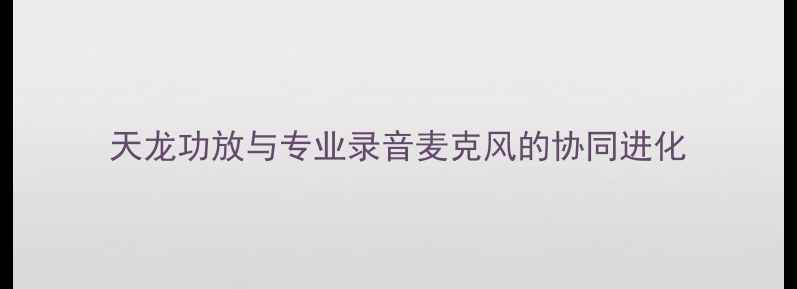 图片 天龙功放与专业录音麦克风的协同进化