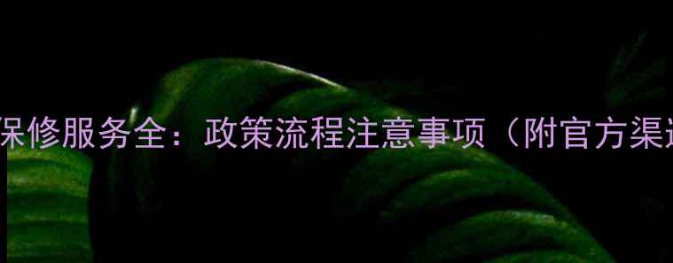 图片 天龙蓝牙音箱保修服务全：政策流程注意事项（附官方渠道查询指南）2