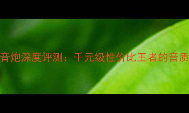 图片 奔腾B50低音炮深度评测：千元级性价比王者的音质与性能全1