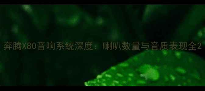 图片 奔腾X80音响系统深度：喇叭数量与音质表现全2