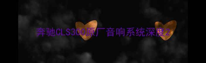 图片 奔驰CLS300原厂音响系统深度2