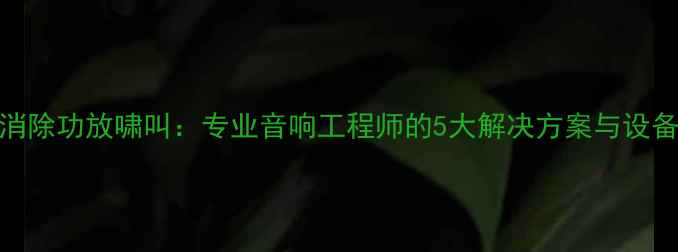 图片 如何彻底消除功放啸叫：专业音响工程师的5大解决方案与设备调试指南