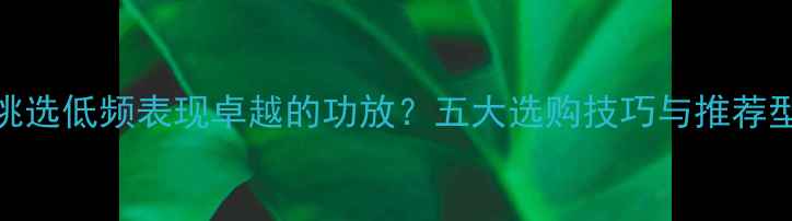 图片 如何挑选低频表现卓越的功放？五大选购技巧与推荐型号全
