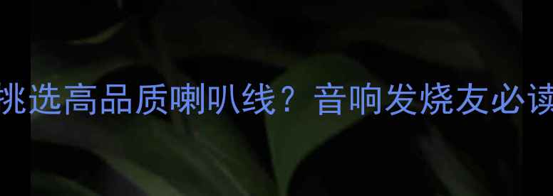 图片 如何挑选高品质喇叭线？音响发烧友必读指南