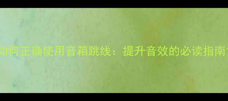 图片 如何正确使用音箱跳线：提升音效的必读指南1