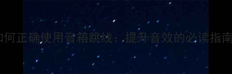 图片 如何正确使用音箱跳线：提升音效的必读指南2