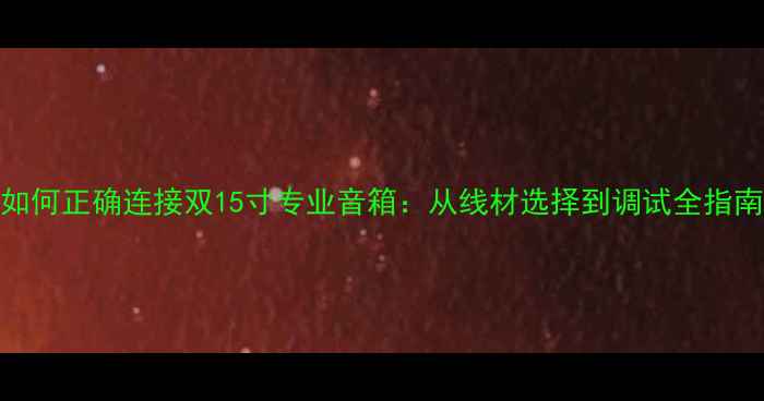 图片 如何正确连接双15寸专业音箱：从线材选择到调试全指南