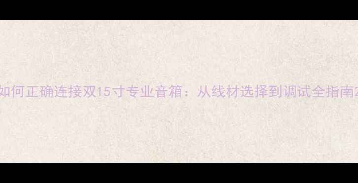 图片 如何正确连接双15寸专业音箱：从线材选择到调试全指南2
