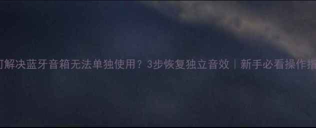 图片 如何解决蓝牙音箱无法单独使用？3步恢复独立音效｜新手必看操作指南1