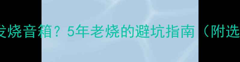 图片 如何选对发烧音箱？5年老烧的避坑指南（附选购清单）2
