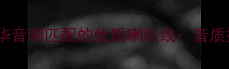 图片 如何选择与嘉年华音响匹配的优质喇叭线：音质提升与安装指南1