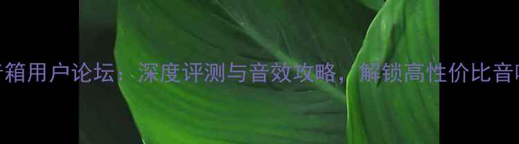 图片 威信音箱用户论坛：深度评测与音效攻略，解锁高性价比音响体验