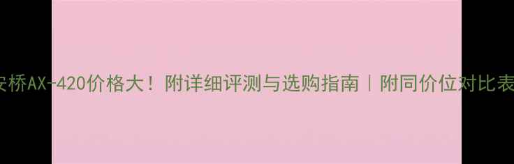 图片 安桥AX-420价格大！附详细评测与选购指南｜附同价位对比表2