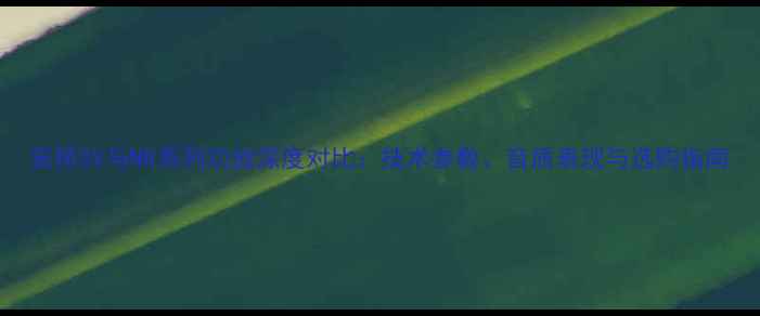 图片 安桥SV与NR系列功放深度对比：技术参数、音质表现与选购指南