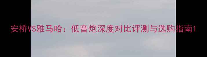 图片 安桥VS雅马哈：低音炮深度对比评测与选购指南1