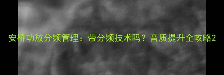 图片 安桥功放分频管理：带分频技术吗？音质提升全攻略2