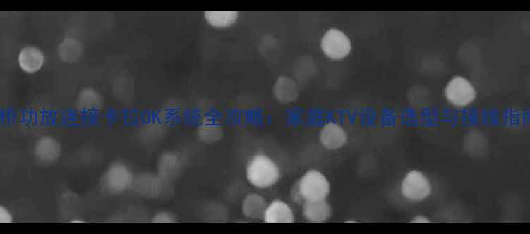 图片 安桥功放连接卡拉OK系统全攻略：家庭KTV设备选型与接线指南2